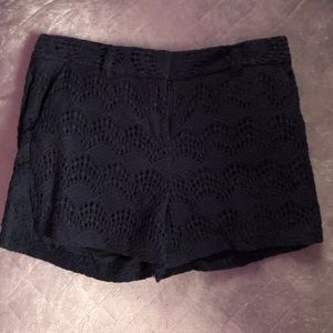 SALE! 😎 NWOT Navy Blue Loft Lace Size 6 Shorts